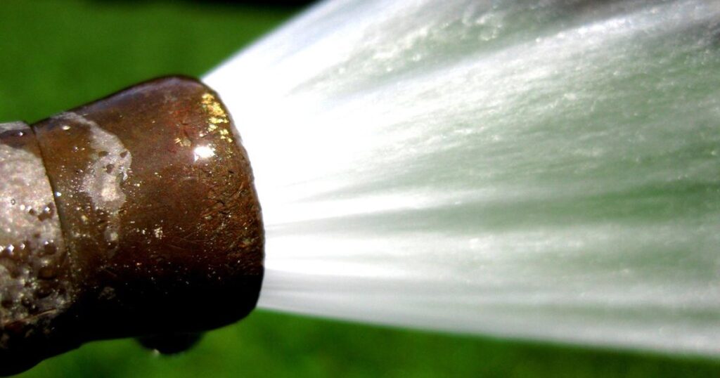A coiled green garden hose lying on grass in bright outdoor light.